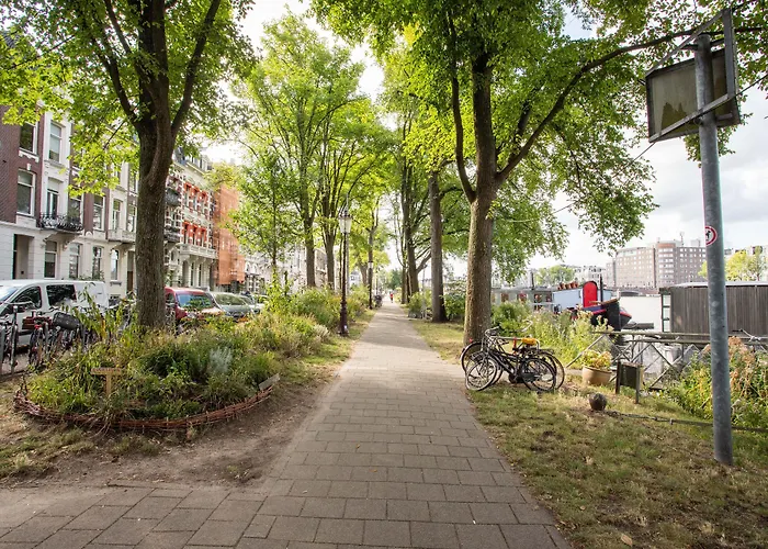 Staysome Amsterdam Hemonystraat